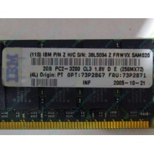 IBM 73P2871 73P2867 2Gb (2048Mb) DDR2 ECC Reg memory (Саратов)