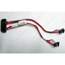 SATA-кабель для корзины HDD HP 451782-001 459190-001 для HP ML310 G5 (Саратов)