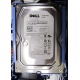 Б/У жёсткий диск Dell SATA (WD WD1601ABYS 7200 rpm) 3.5" HDD (Саратов)