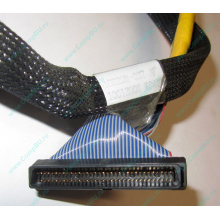 Кабель SCSI HP 166298-037 для HP ML370 G4 (Саратов)