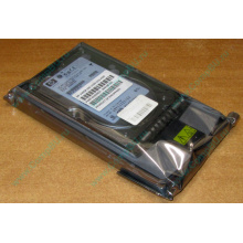 Жёсткий диск 146.8Gb HP 365695-008 404708-001 BD14689BB9 256716-B22 MAW3147NC 10000 rpm Ultra320 Wide SCSI купить в Саратове, цена (Саратов).