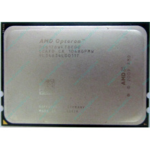 AMD Opteron 6128 OS6128WKT8EGO (Саратов)